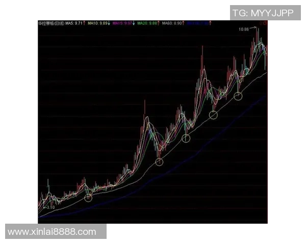 深入分析上海网球队中路突破战术的独特魅力与实战应用
